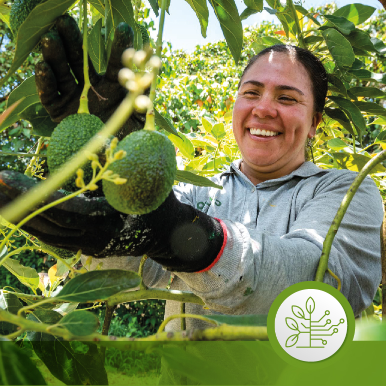 imagen escuelas Esc agro